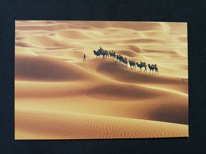 新疆风光 塔克拉玛干沙漠 驼队 骆驼 旅人  40分邮资极限明信片