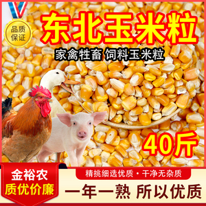 纯东北优质玉米粒特价中颗粒玉米粒喂鸡鸽子鸭鹅饲料家禽粮食