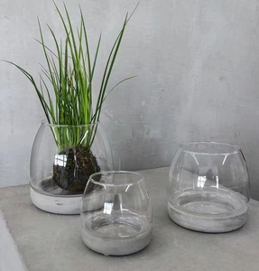 水泥底玻璃花瓶鱼缸草菇造型生态瓶水培植物花盆花器桌面插花装饰