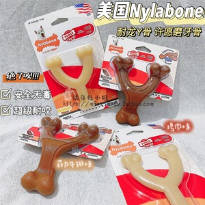 法斗杜小姐／美国Nylabone耐龙Y骨许愿骨咬骨磨牙洁齿玩具 牛排味