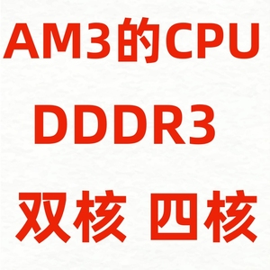 AMD Athlon II X2 240 X250 X260 X640 AM3 台式机 938针 DDR3