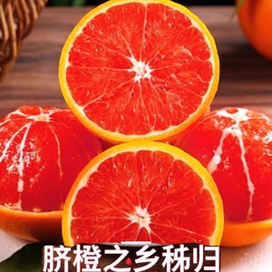 中华红橙秭归血橙当季新鲜水果10斤装红心肉甜橙果园采摘手剥橙