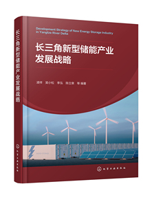 正版包邮 长三角新型储能产业发展战略化学工业凌祥，李永明，李