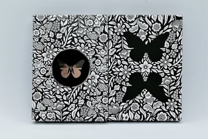 美國原裝進口 Butterfly BLACK 蝴蝶鍍銀邊 記號 收藏魔術 撲克牌