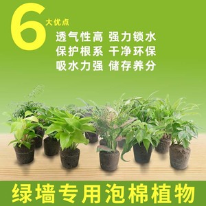 室内阳台植物墙盆栽仿土海绵小绿植背阴垂直立体绿化泡棉植物保水