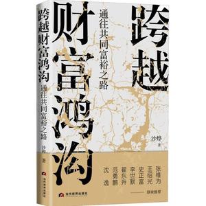 【新疆包邮】@跨越财富鸿沟 通往共同富裕之路 沙烨 著 经管励