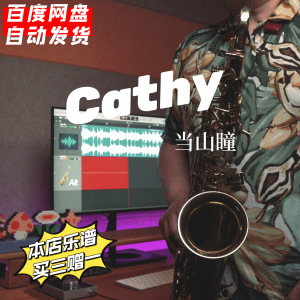 cathy当山瞳citypop蒸汽波萨克斯五线谱简谱伴奏猴子舅舅电子乐谱