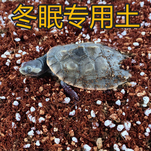 三合一椰土乌龟冬眠土蛭石珍珠岩半水龟冬眠用品巴西龟草龟冬眠沙
