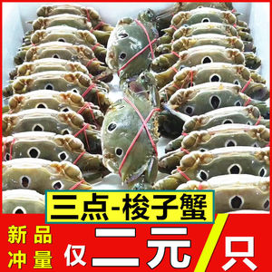新鲜公母三点蟹鲜活特大梭子蟹冷冻海鲜三眼蟹小海蟹螃蟹自助商用