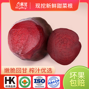 东升农场 供港甜菜根红菜头新鲜包邮红菜养生健康饮食榨汁3/5斤