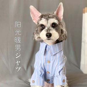 今日份男友？泰迪狗狗雪纳瑞衣服春装小型犬猫衣服萨摩衣服大型犬