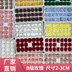 蔷薇国产永生花b级玫瑰花保鲜花材料2-3cm玻璃罩花盒瓶花手diy材