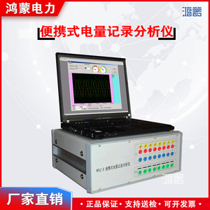 WFLC-E便携式电量记录分析仪 电流曲线无纸记录仪 0-5A电流