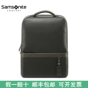 Samsonite/新秀丽男士双肩包 精英商务电脑包简约时尚牛皮革背包