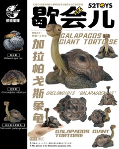 动物星球x52TOYS 歇会儿系列 vol.3 加拉帕戈斯象龟 手办潮玩接单