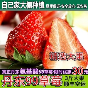 辽宁丹东99草莓新鲜红颜奶油草莓东港马家岗九九牛奶大草莓礼盒装