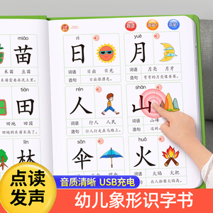 幼儿园识字大王3000字点读机认字有声书儿童看图卡片早教发声神器