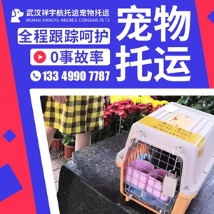 武汉宠物托运上门服务全国宠物运输狗空运航运输猫咪邮寄武汉祥宇