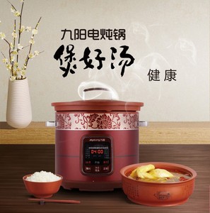 Joyoung/九阳 DGD40-05AK紫砂电炖锅预约定时电煮锅煮粥煲汤锅4L