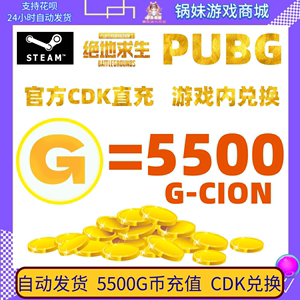 PUBG绝地求生 5500g币CDK兑换码商城充值点券余额金币激活吃鸡CDK