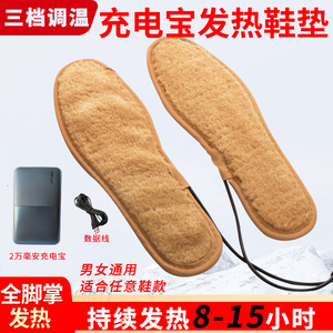 USB发热鞋垫电暖鞋垫加热鞋垫充电热鞋垫保暖鞋垫可行走男女通用