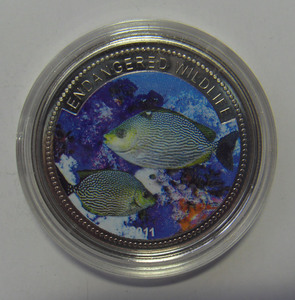 帕劳 2011年1元 海洋场景- 爪哇蓝子鱼纪念 彩色 镍币 直径：37mm