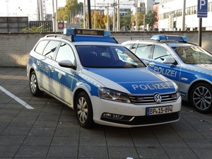 1:87工程塑料WIKING特别版 大众帕萨特B7联邦警局德国制造限量500