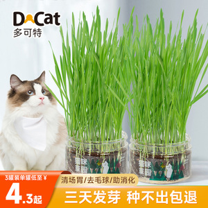 多可特猫草小麦种子盆栽土培水培自选懒人成幼猫去毛球化毛零食