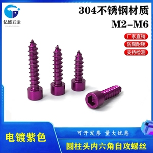 紫色304不锈钢圆柱头内六角自攻螺丝音响喇叭螺丝钉M2M3M4M5M6