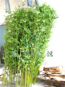 仿真绿色细竹叉竹仿真假装饰竹子竹林布置人造植物节节高定做1