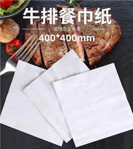 中西餐厅挡牛排餐巾纸48张双层加大方形口布纸料理印花纸高端酒店