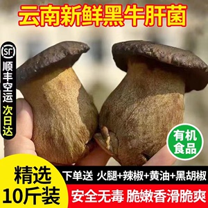 新鲜黑牛肝菌 云南特产新鲜牛肝菌食用菌菇炒菜煲汤火锅食材顺丰