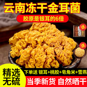 100g特级云南野生金耳干货非新鲜金耳菌鲜金耳菌菇黄耳菌黄金耳大