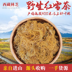 西藏野生红雪茶海拔4200米胡须状泡水金丝茶鹿心雪茶100g包邮