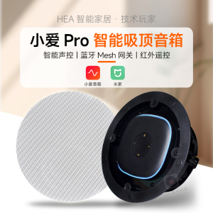 小米小爱同学智能音箱改装吸顶音响语音声控wifi蓝牙智能家居定制