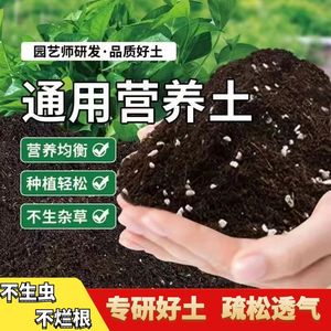 通用型营养土种花疏松透气蔬菜有机泥土植物花卉种植专用多肉花土