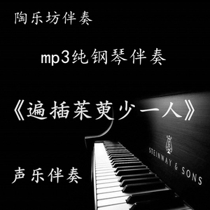 遍插茱萸少一人 钢琴伴奏声乐艺考联考正谱五线谱高清音频mp3移调