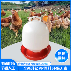自动喂水器喂鸡水壶养鸡设备用品鸡水槽饮水壶小鸡鹌鹑家禽饮水碗
