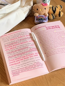 小红书同款粉色空白笔记本a5学生ins小众记事少女心手账日记本子