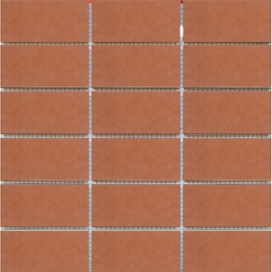 4.5×9.5厘米红色磨砂平面外墙瓷砖通体砖糙面阳台装修 9.5公分i.