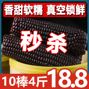 东北黑龙江玉米棒黑糯玉米非转基因新鲜甜香黏粘食用玉米10支
