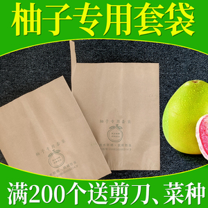 柚子蜜柚套袋专用袋红心黄白沙田柚果树水果保护袋子果袋纸袋防虫