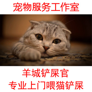 广州市全职上门喂猫咪铲屎代替寄养春节国庆五一假日宠物家政服务