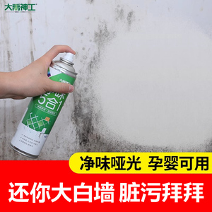 墙面自喷漆乳胶漆室内家用油漆自刷涂料修补墙膏白色墙壁修复去污