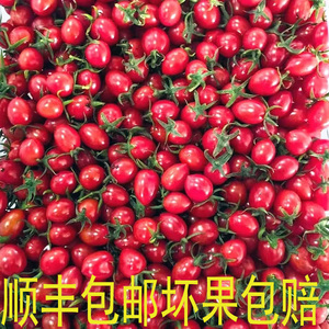 新鲜水果蔬菜千禧果樱桃圣女果爆浆多汁广西小番茄酸甜西红柿5斤3
