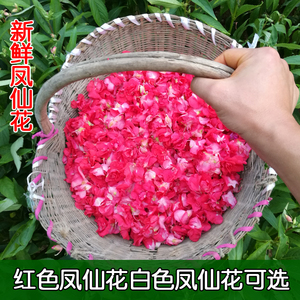 新鲜凤仙花白色凤仙花红色指甲草花染头发染指甲现摘花瓣中药干花