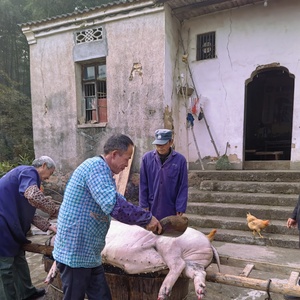 皖南池州农户家皖南黑毛猪肉精排 黑猪口条舌头土猪肉前后腿肉