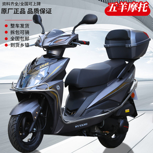 广州五羊牌 踏板车摩托车燃油可上牌男女款外卖车125整车踏板摩托