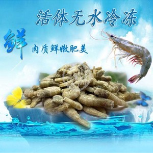 新鲜冷冻虾仁冰冻淡水河虾草金泥鳅龙鱼专用鱼食虎鱼魟鱼活体饲料