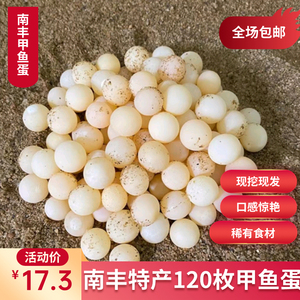 南丰新鲜甲鱼蛋食用2024年新蛋120枚非受精蛋乌龟蛋原产地发包邮